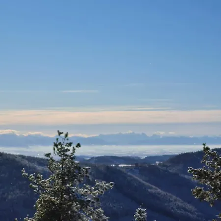 Gaestehaus Weitblick Sankt Leonhard bei Freistadt