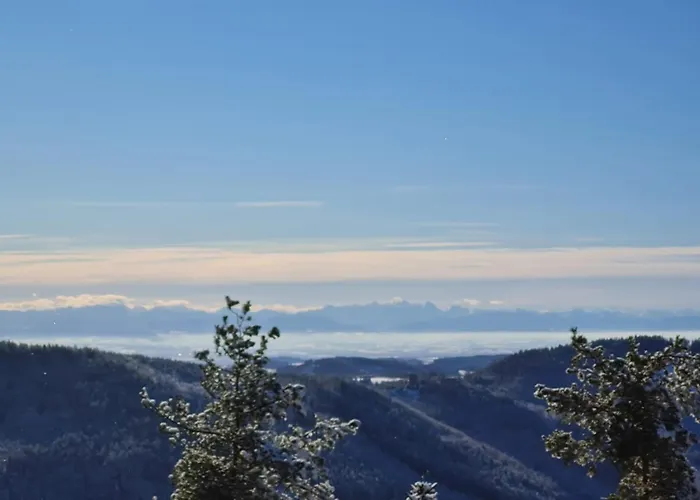 Gaestehaus Weitblick Sankt Leonhard bei Freistadt